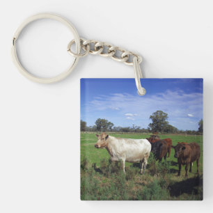Porte-clés Vache Blanche Menant Le Troupeau,