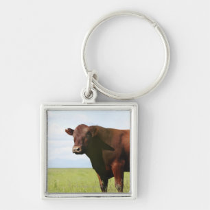 Porte-clés Vache de boucherie dans le domaine