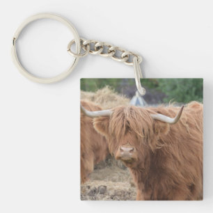 Porte-clés Vache des montagnes