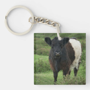 Porte-clés Vache galloway à ceinture