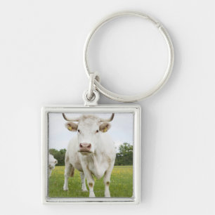 Porte-clés Vache se tenant dans le domaine herbeux