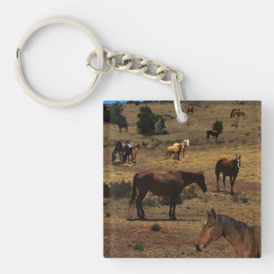 Porte-clés Valley of the Horses