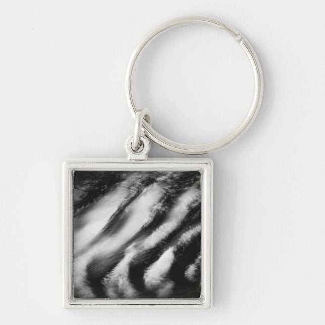 Porte-clés vautours tombé (Devant)