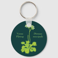 Vénus Flytrap Art Floral