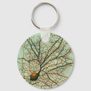 Porte-clés vert hippocampal de neurone - porte - clé