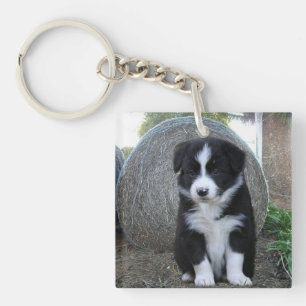 Porte-clés Vie de ferme de chiots Border Collie,