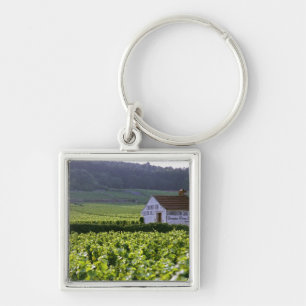 Porte-clés vignoble Chambertin Clos de Beze Grand Cru avec