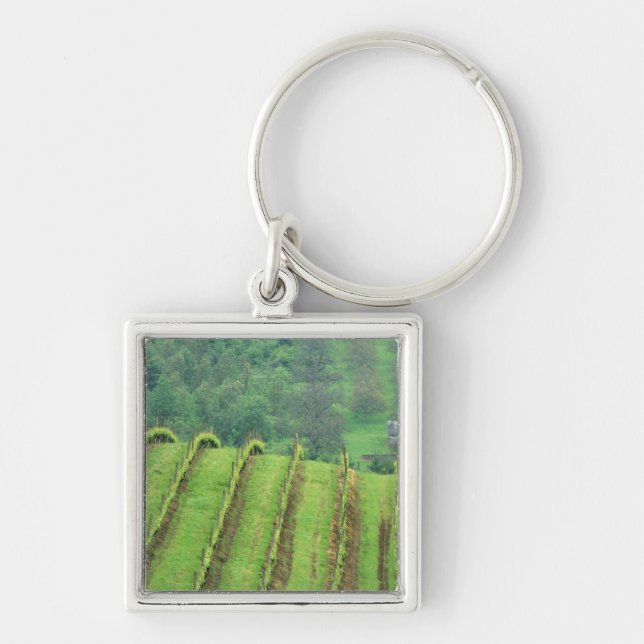 Porte-clés Vignobles de raisin près de Newberg Oregon (Devant)