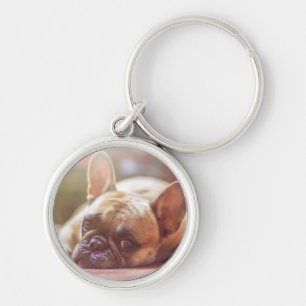 Porte-clés Visage mignon de bouledogue français, se couchant