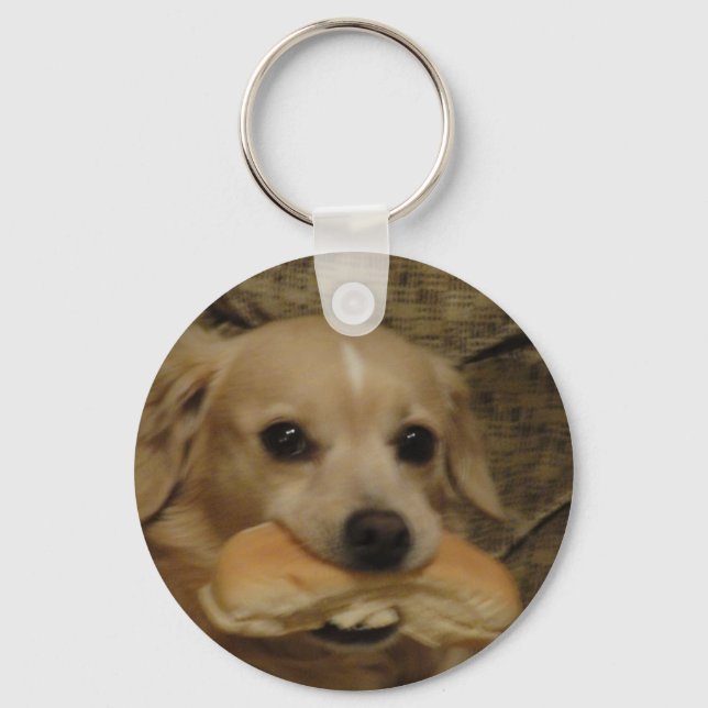 Porte-clés Vous avez des chiens ? (Recto)