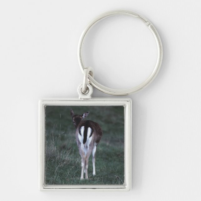 Porte-clés Vue arrière d'un cerf commun, Nouvelle Zélande (Devant)