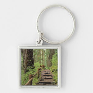 Porte-clés WA, parc national Olympique, vallée de Sol Duc, fo