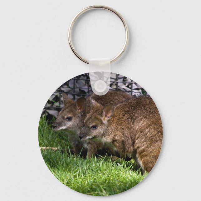 Porte-clés Wallabies (Recto)