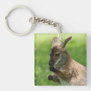 Porte-clés Wallaby de Bennett