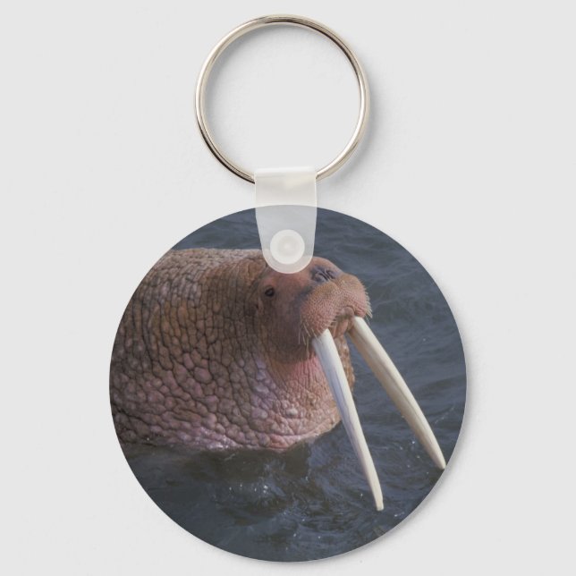 Porte-clés Walrus (Recto)