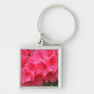 Porte-clés Washington, Seattle, Puget Sound, Discovery Park