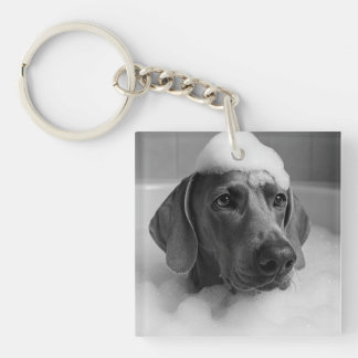 Porte-clés Weimaraner dans le bain avec des bulles sur la têt