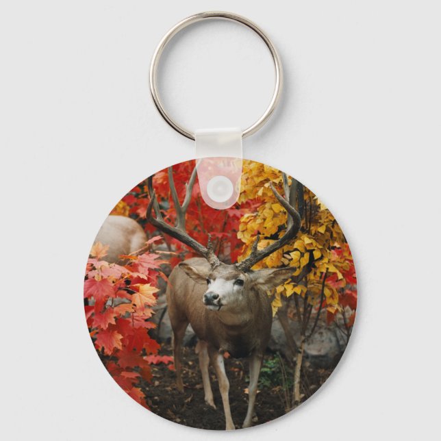 Porte-clés Whitetail En Automne (Recto)