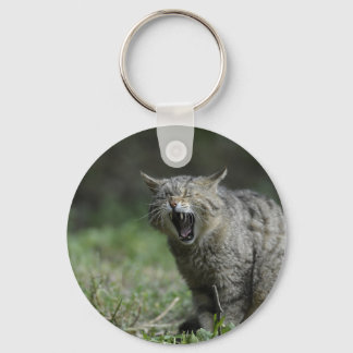 Porte-clés Wildcat