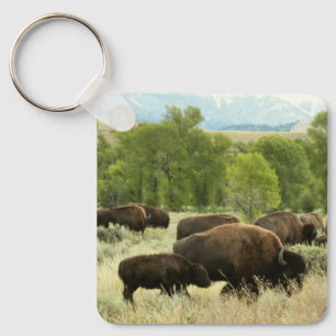 Porte-clés Wyoming Bison Nature Animal Photographie