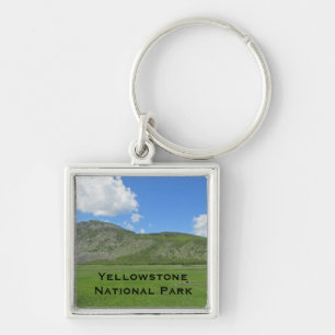 Porte-clés Yellowstone Lush Green Field Photo Parc national