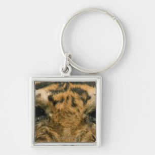 Porte-clés Yeux de tigre