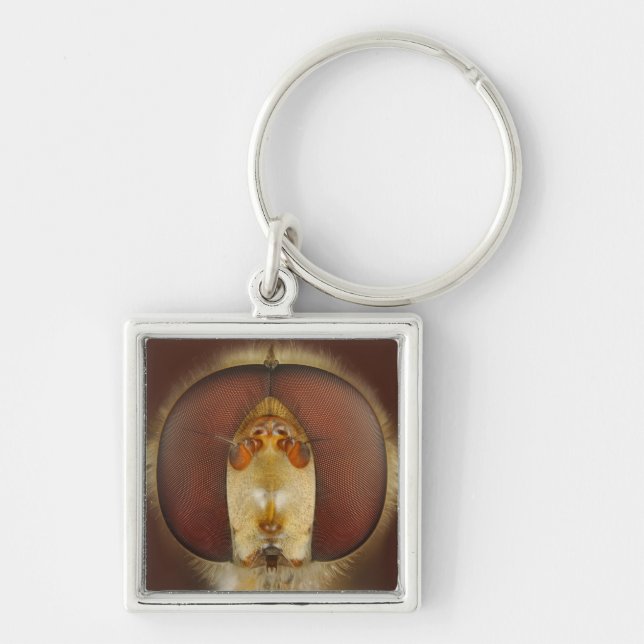 Porte-clés Yeux principaux et composés d'une mouche de vol (Devant)