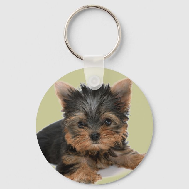 Porte-clés Yorkie Pup (Recto)