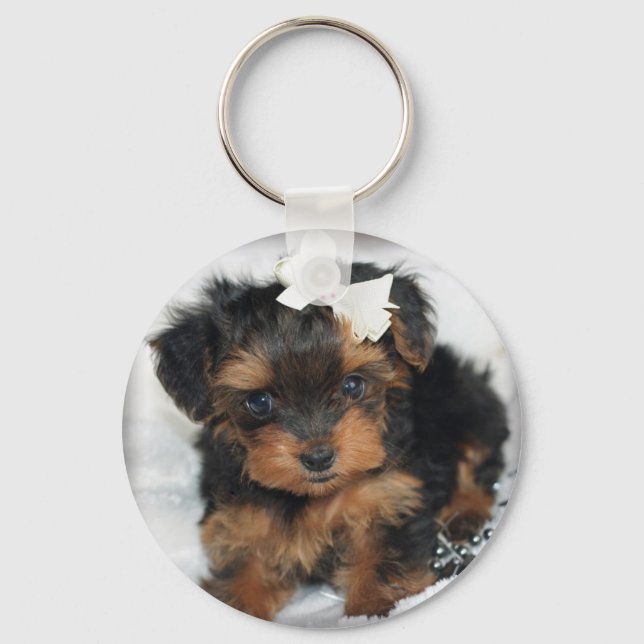Porte-clés Yorkiepoo (Recto)