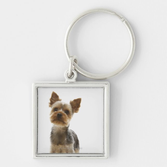 Porte-clés Yorkshire Terrier (Devant)