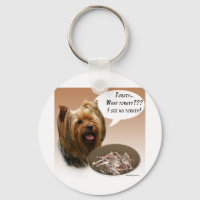 Yorkshire Terrier Turquie