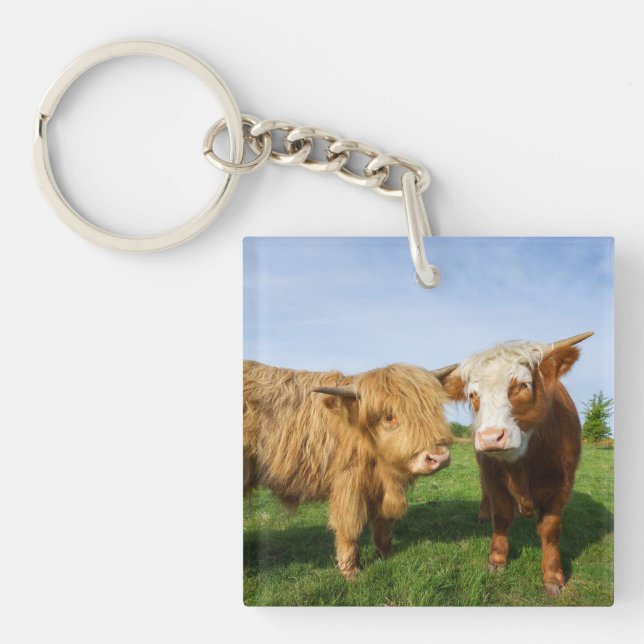 Porte-clés Young Highland Cows (Devant)