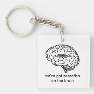 Porte-clés zebrafish sur le porte - clé de cerveau