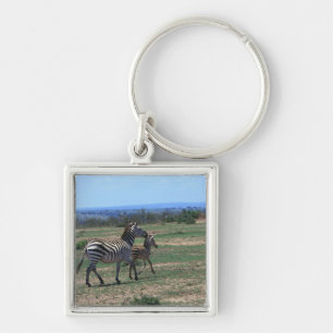 Porte-clés Zèbre de Grant