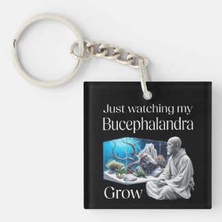 Porte-clés Zen and Bucephalandra