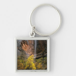 Porte-clés Zion National Park, Utah. États-Unis. Éphémère