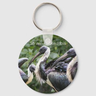 Porte-clés Zoo ? Ibis à cou de paille