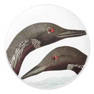 Porte En Céramique Bouton d'animal de faune d'oiseaux de dingue