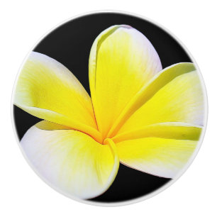 Porte En Céramique Bouton du tiroir de Plumeria