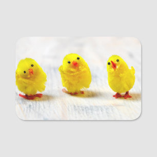 Porte-nom Easter Decoration - chicks en row