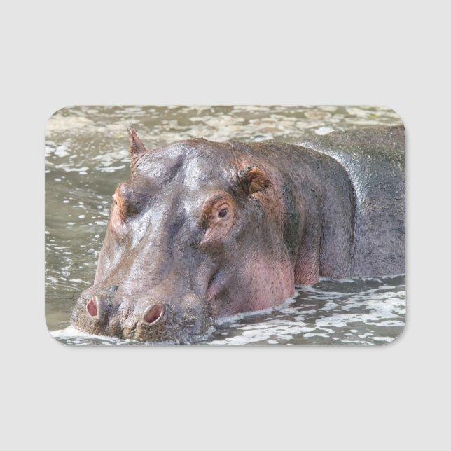 Porte-nom Joyeux Hippo (Devant)
