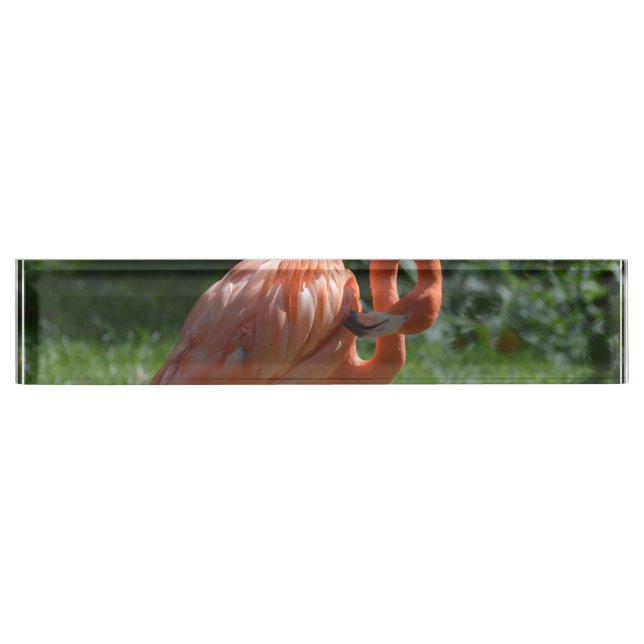 Porte-nom Pour Bureau Flamant rose rose parfait (Devant)