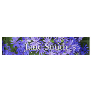 Porte-nom Pour Bureau Fleurs de type Marguerite Bleue Photographie de la