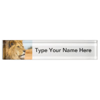Grand lion regardant loin