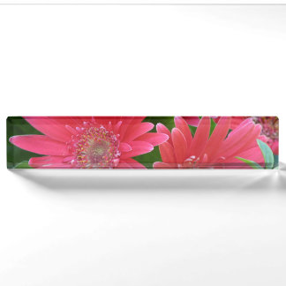 Porte-nom Pour Bureau Marguerite rose de Gerbera
