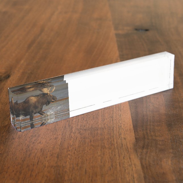 Porte-nom Pour Bureau Orignaux de Taureau (Taille)