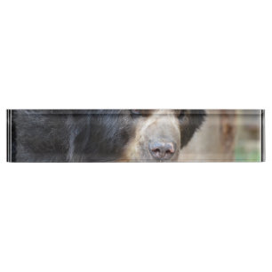 Porte-nom Pour Bureau Visage fantastique d'un ours noir