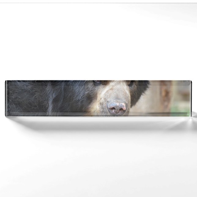Porte-nom Pour Bureau Visage fantastique d'un ours noir (Devant)