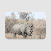 Rhino blanc