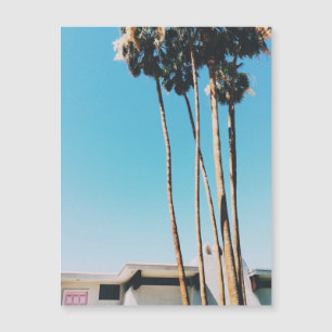 Porte Rose De Palm Springs Magnet